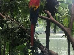 -椰爺爺·椰子冻砵仔糕