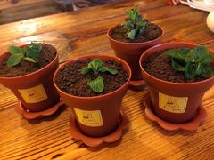 -闯关东东北农家菜(崂山石老人店)