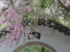 -深圳国际园林花卉博览园