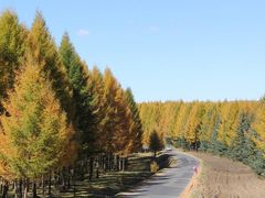 景点-木兰围场