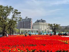 -大宁郁金香公园-停车场