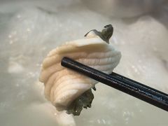 -正能量脆肉鲩火锅