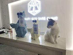 -B-BEAUTY童颜皮肤管理中心