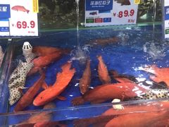 -东江海鲜酒家(艺都分店)