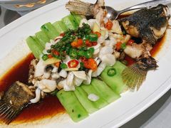 鲜花椒笋壳鱼-南景饭店(万家丽路店)