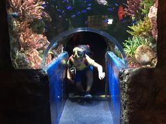 -暹罗海洋世界
