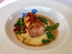 -蝶舍·MAISON PAPILLON