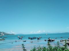 -那琴半岛地质海洋公园