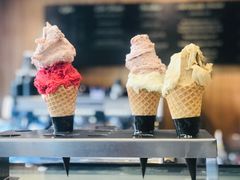 -Patagonia Chocolates(皇后镇店)