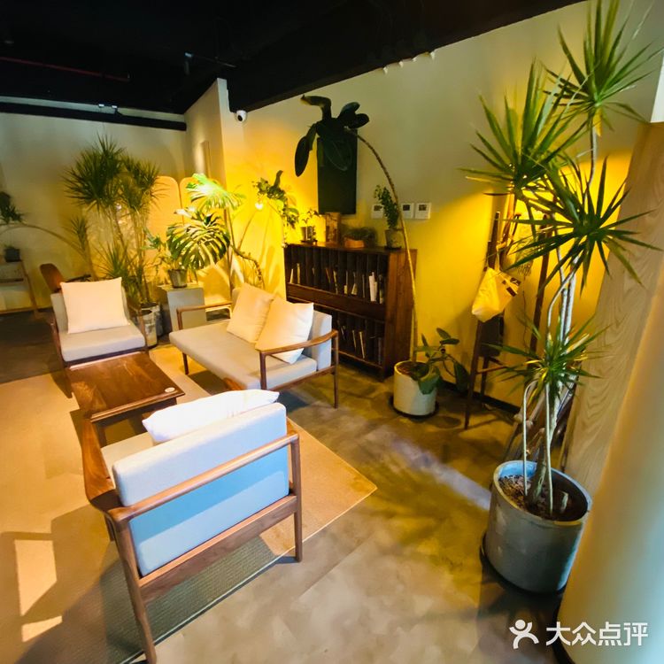 #魔都衡山路秋天最佳拍照打开卡地