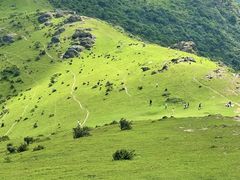 -大姆山草场