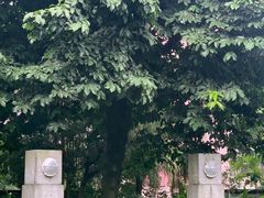 -广州神农草堂中医药博物馆