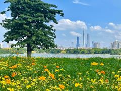 -海珠湖公园