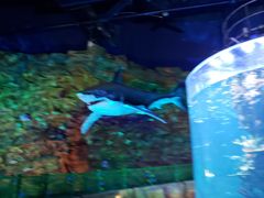 -青岛嘉年华主题乐园