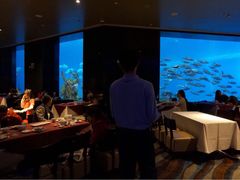 海底餐厅-雨林餐厅(长隆海洋王国店)