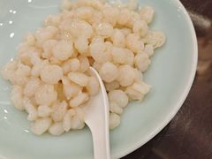 -富春茶社(国庆路店)