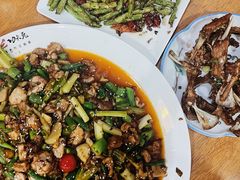 -功夫兔