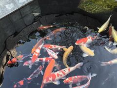 -西安市广仁寺