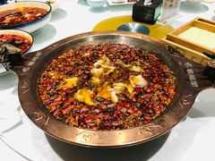 -雲蜀龙阁·金牌水煮鱼(方庄店)