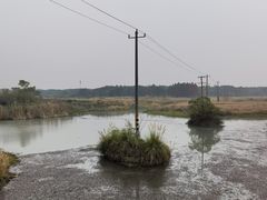 -贡湖湾湿地公园