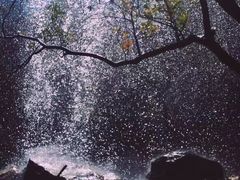 -百漈沟生态旅游景区