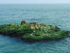 -海驴岛(荣成市)