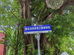 -世界之窗阿尔卑斯冰雪世界