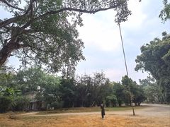 -云南勐巴娜西珍奇园
