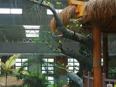 -南宫五洲植物乐园