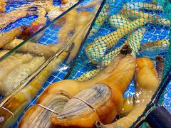 -驻海渔市(置信店)