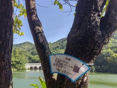 -珠海圆明新园