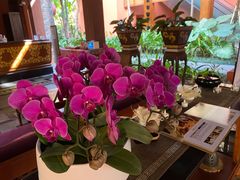 -西双版纳洲际度假酒店-海鲜傣味烧烤·侬香全日制餐厅