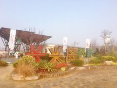 -上海长兴岛郊野公园