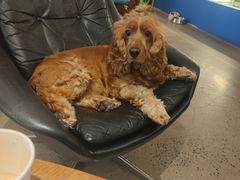 -argangKaffe(宝庆路店)