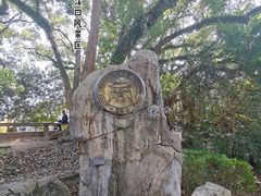 -溪口-滕头旅游景区