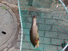 -俺家菜馆(百里峡店)