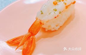 Sea Urchin and Red Shrimp