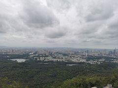 -紫金山天文台