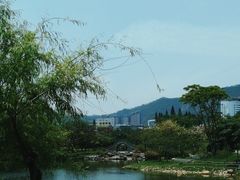 -四海公园(南山区)