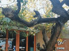 -Chom Cafe and Restaurant