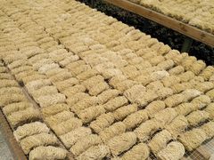 -西关竹园(荔枝湾店)