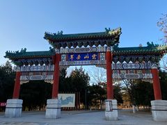 -云岗森林公园