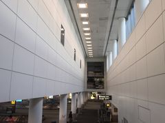 -纽瓦克自由国际机场