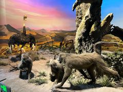 -国家自然博物馆