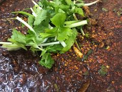 -温江公平红烧兔(总店)