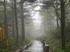 -峨眉山风景名胜区