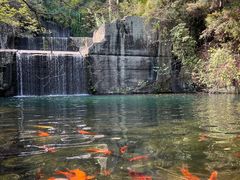 -千岛湖东南湖区
