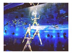 -瑞德姆美人鱼海底演艺主题餐厅(亚龙湾店)