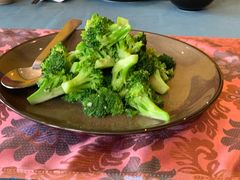 -松赞拉萨林卡酒店