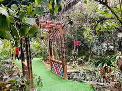 -呀路古热带植物园
